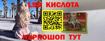 гидра Донской