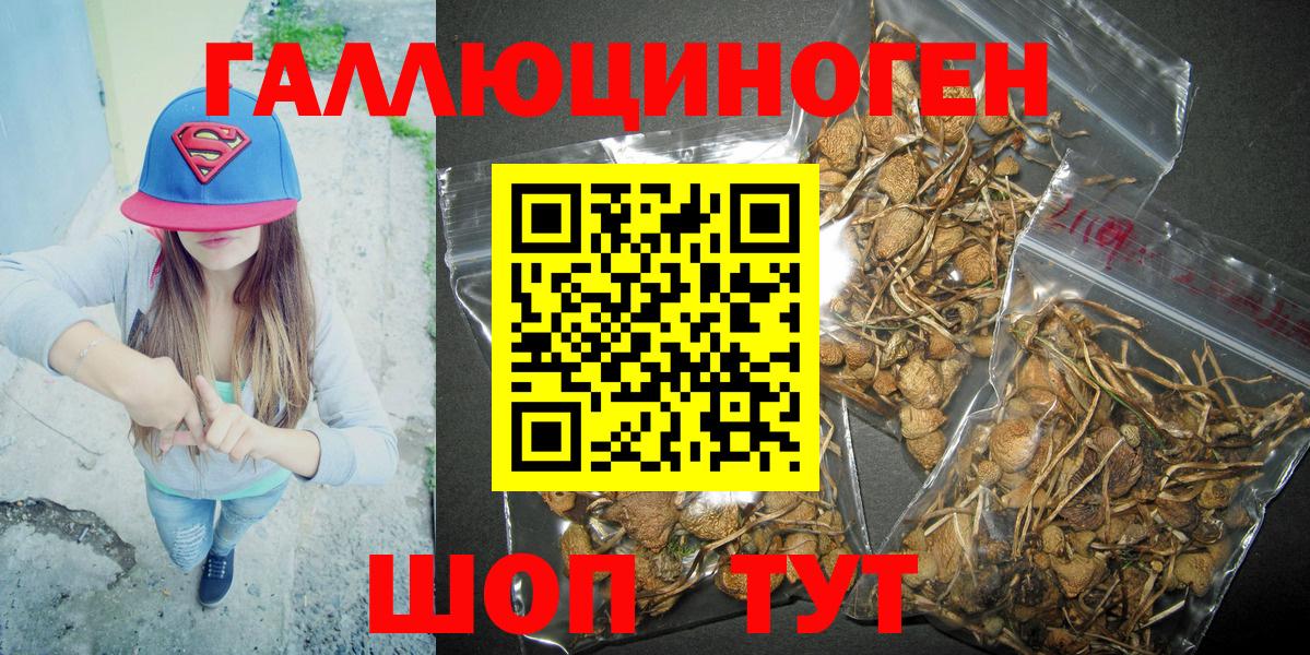 Миллерово  Галлюциногенные грибы Psilocybine cubensis  Псилоцибиновые грибы GOLDEN TEACHER  купить  цена  Вход с VPN 